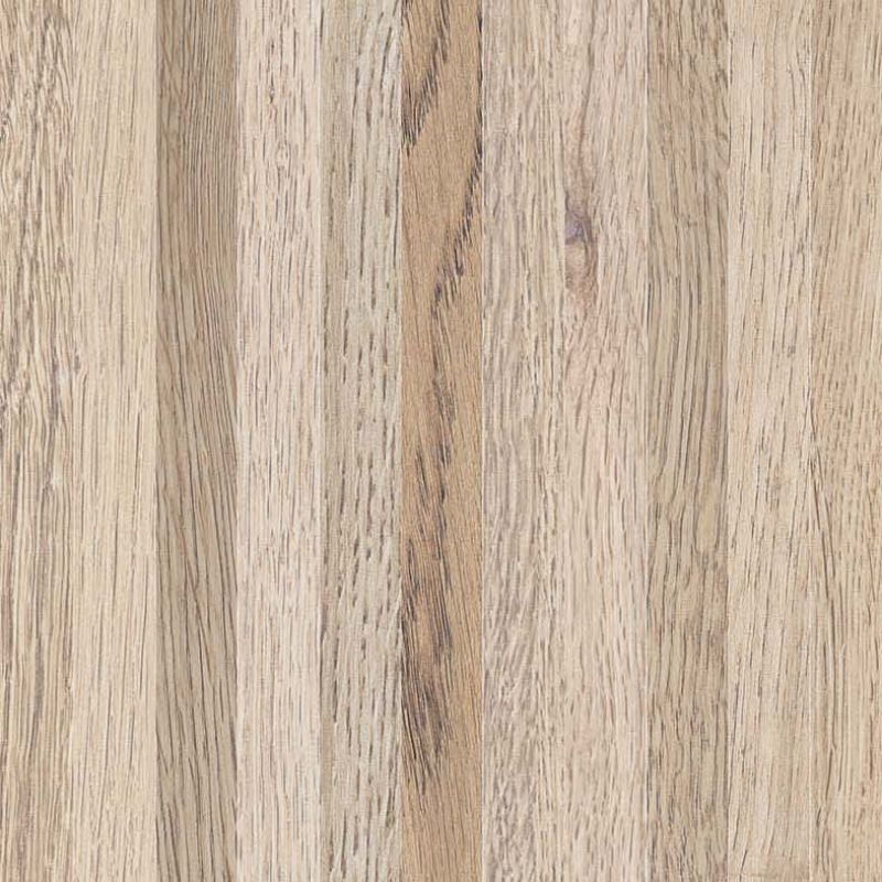 Four Seasons – Industrial Biscuit