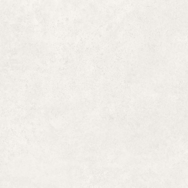 Wonderwall – Freestyle