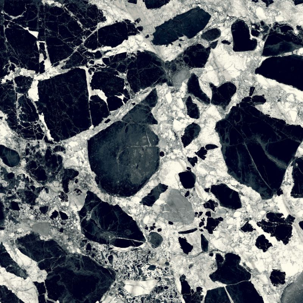 Sensi Up – Grand Antique