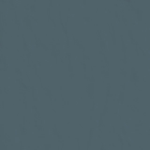 Neutra 6.0 – Petrolio