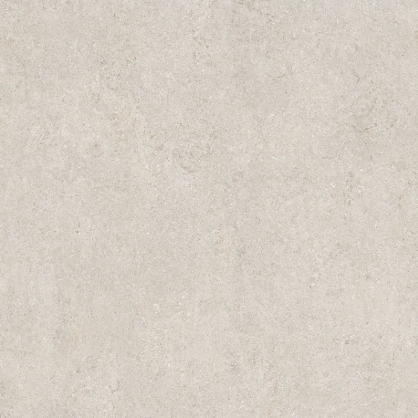Sensi – White Fossil