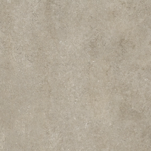 Sensi – Ivory Fossil