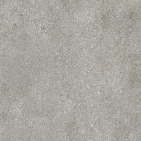 Sensi – Grey Fossil