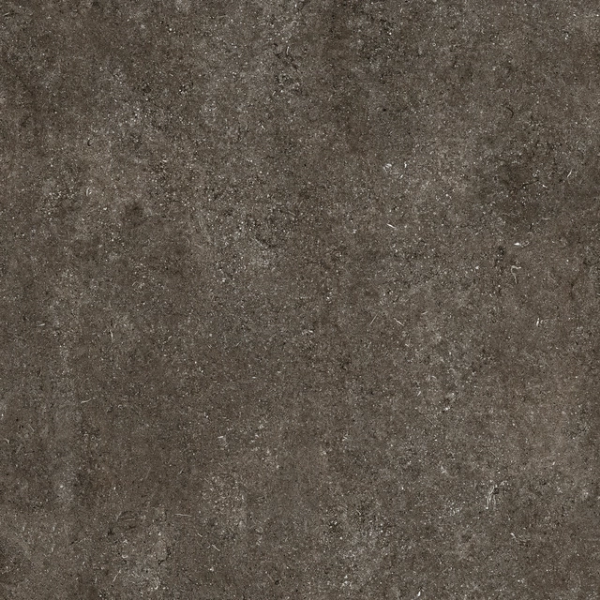 Sensi – Brown Fossil