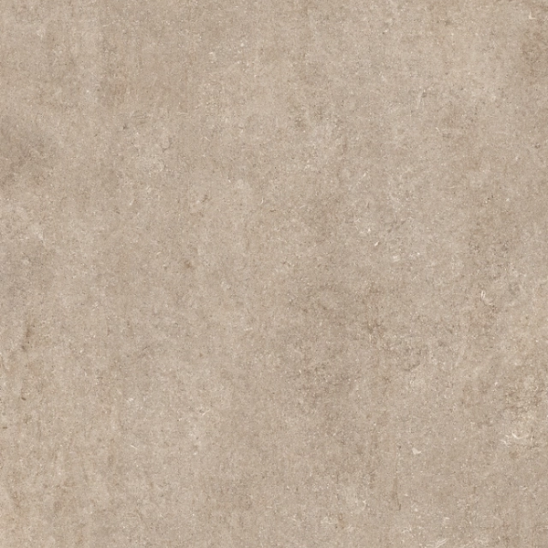 Stone – Fossil Ivory