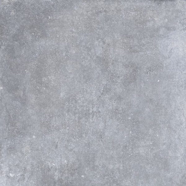 Blue Evolution – Grey