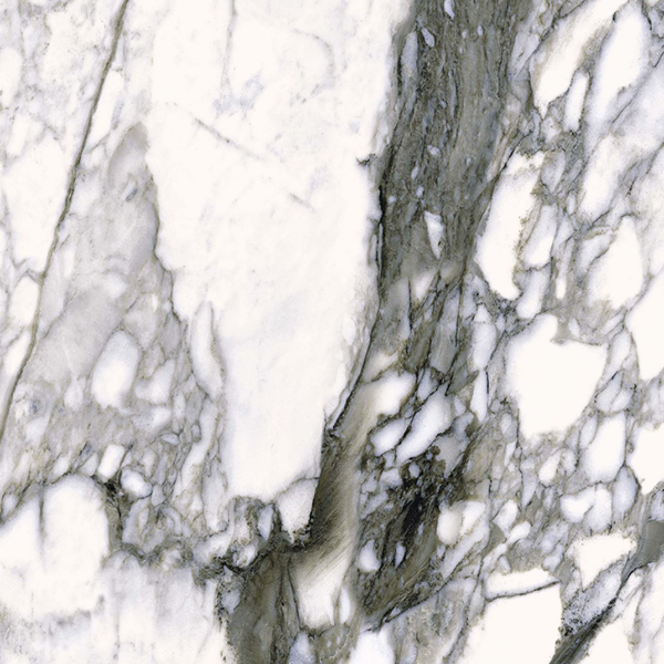 The Wild Spirit – Calacatta Renoir