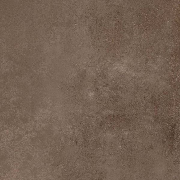 The Wild Spirit – Bronze