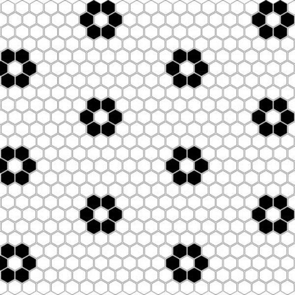 Mini Hexagon B&W Flower Premium matt
