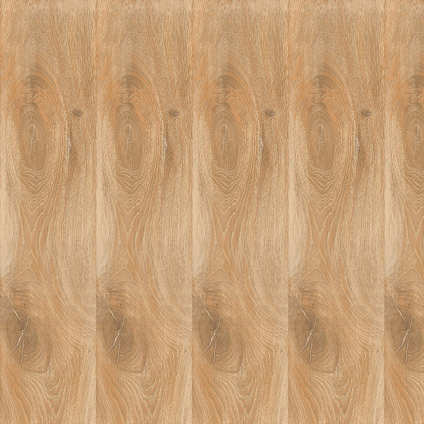 Cortina – Cognac