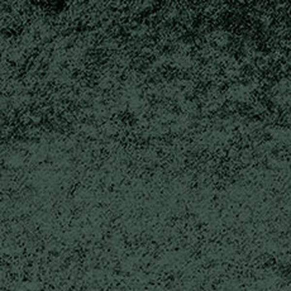 Vibe – Forest