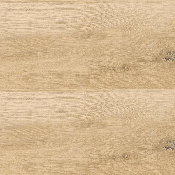 Visual – Miele