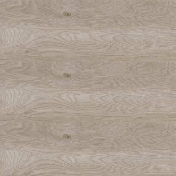 Arche – Ivory