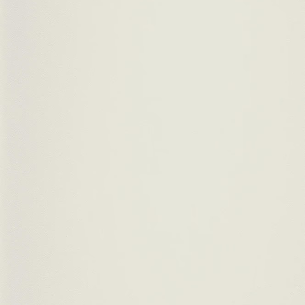Laminam – Neve