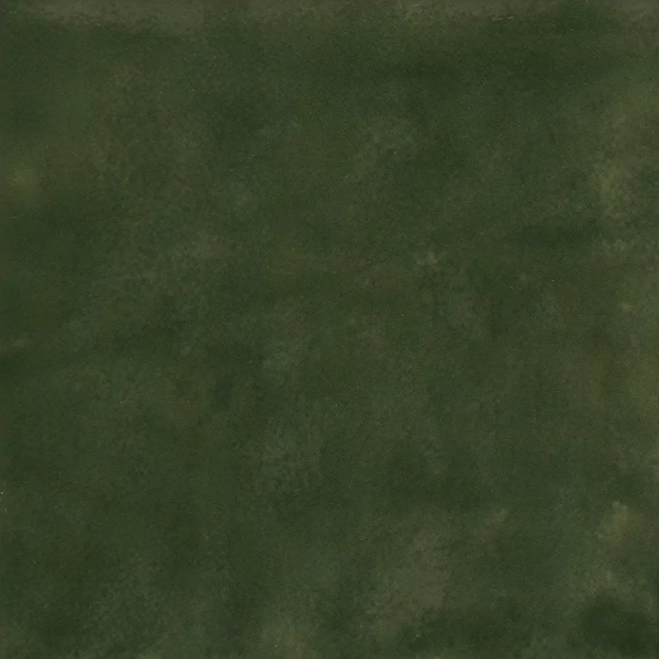 SensiColore – Bosco