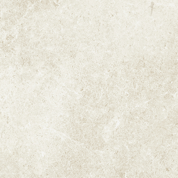 Fossil – Ivory