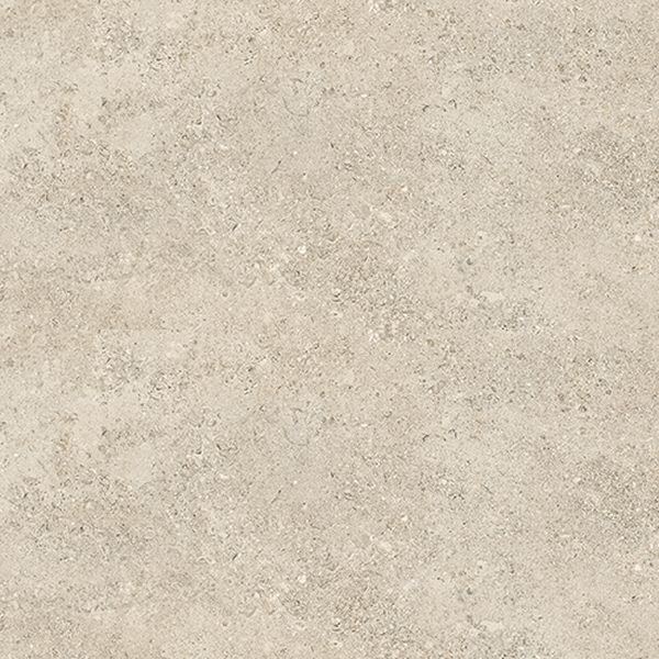 Shellstone – Amber