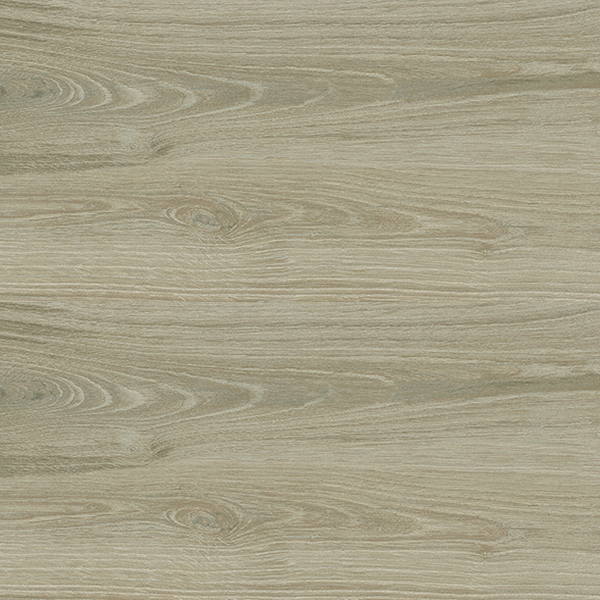 Planet – Rovere
