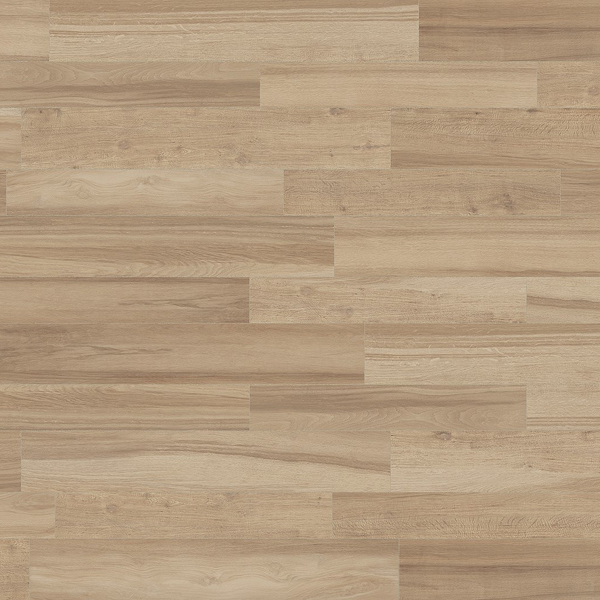 Axis – Nut