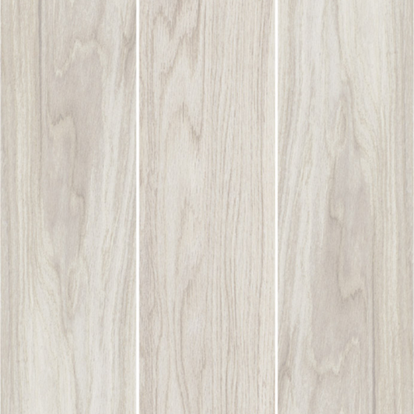Rovere – Betulla