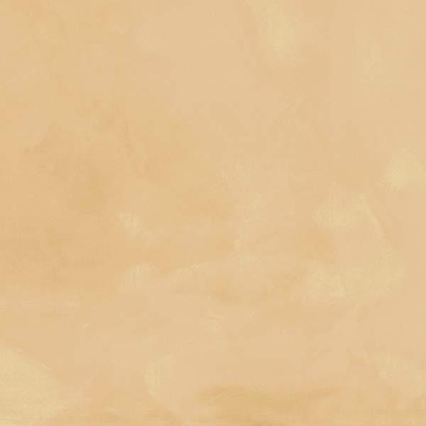 Touch Evo – Gold
