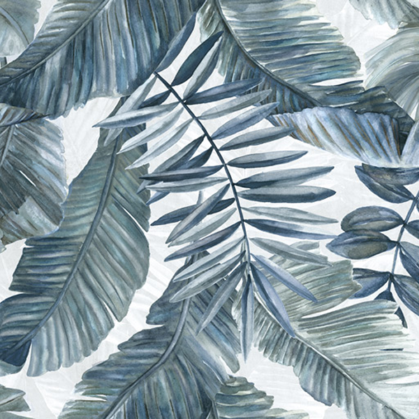Touch Evo – Tropical Blue
