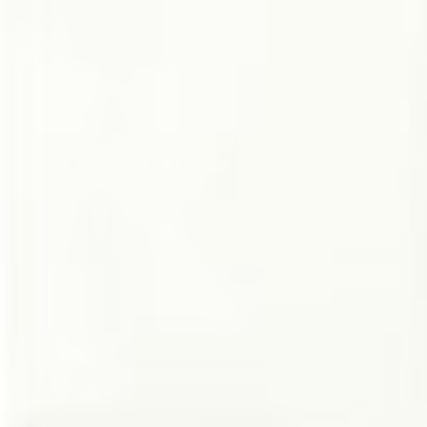 Base – Blanc Pur