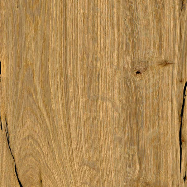 Robur – Pecan