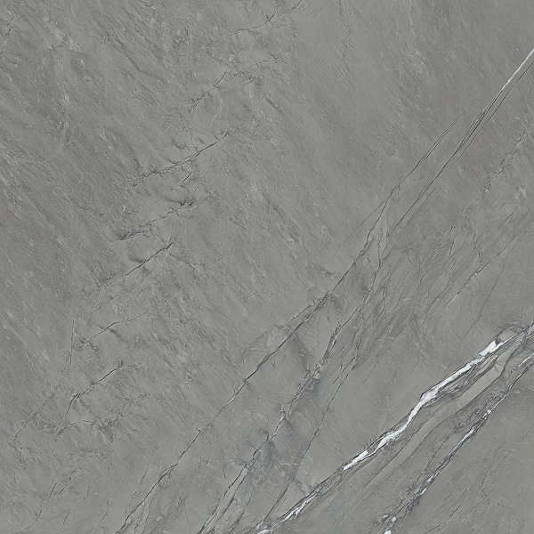 Cardosia – Anthracite