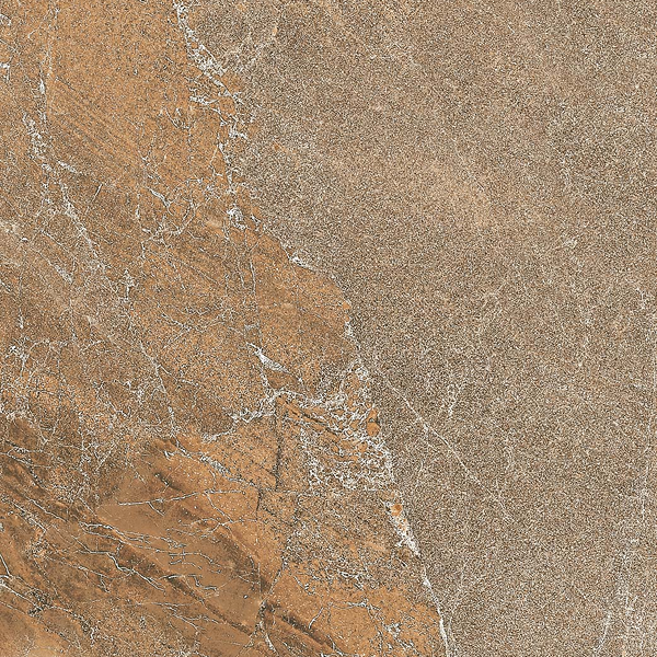 Fitch – Fawn