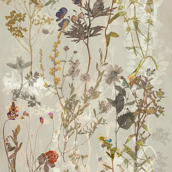 Wallart – Glam