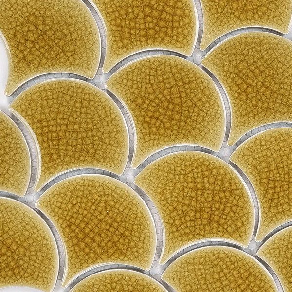 Flabellum – Amber Połysk