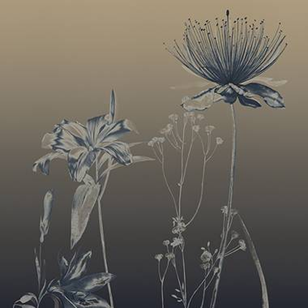 Dream – Bloom