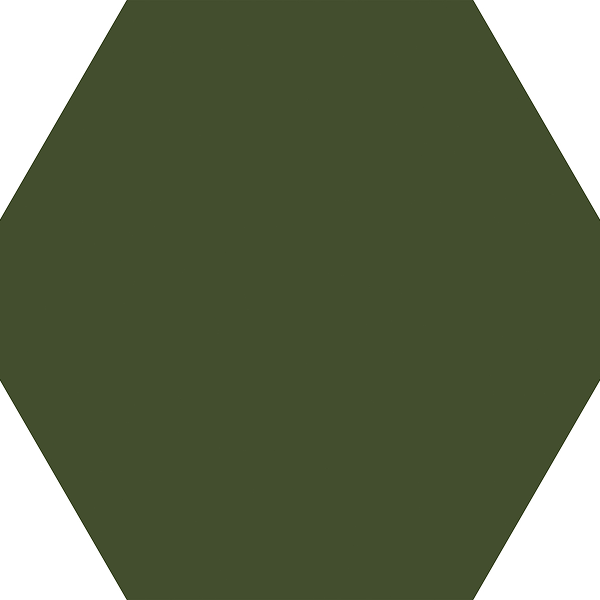 21 hexagon – Abacate