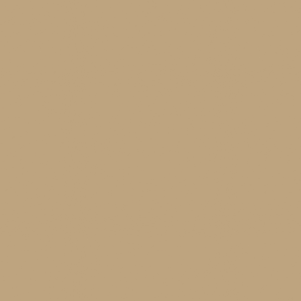 21 Solid – Bronze