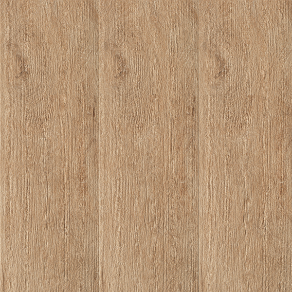 Treeline - Elm